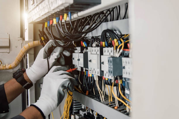 Best Electric Panel Repair  in Wapello, IA